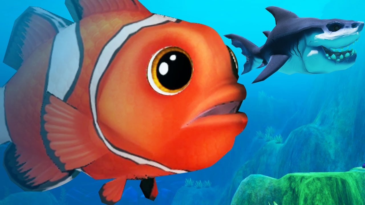Is it safe for sharks to eat clownfish