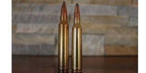 Physical Differences of the .300 Win vs 7mm Rem Mag