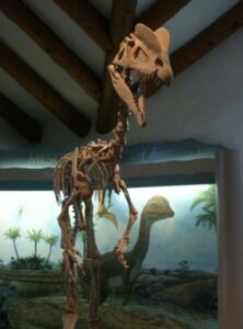 dinosaur museum phoenix