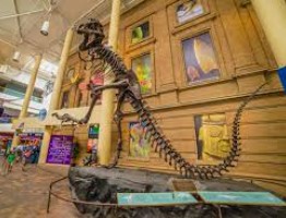 dinosaur museum