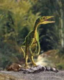 Smallest Dinosaurs