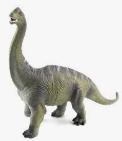 Large Dinosaur Toys