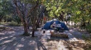 dinosaur valley state park camping