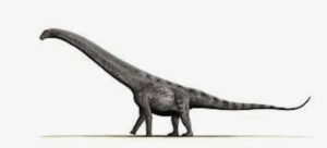 dinosaur size comparison