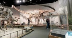 dinosaur museum