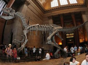 dinosaur museum New York