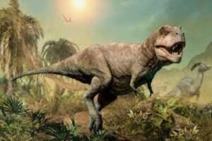 Real Dinosaur Pictures