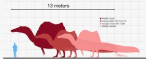 dinosaur size comparison
