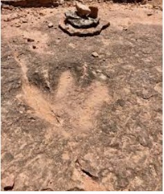 dinosaur tracks utah