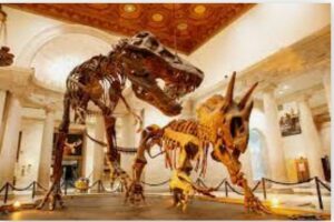 Dinosaur Museum Open