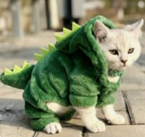 Cat dinosaur costume