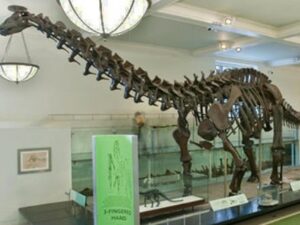 dinosaur museum New York