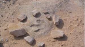dinosaur tracks utah