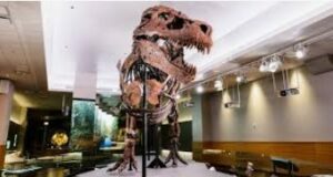  denver dinosaur museum