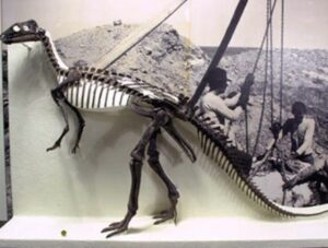 dinosaur museum New York