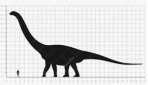Human Vs. Dinosaur Size Comparison
