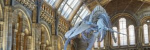 Best dinosaur museum