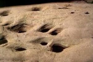 dinosaur tracks utah