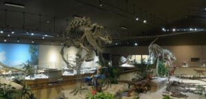 Best dinosaur museum