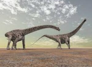 The Tallest Dinosaurs