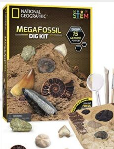 Mega Fossil Dig Kit by National Geographic