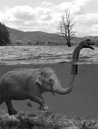 The Truth About Dinosaurs: Do They Still Exist? What if dinosaurs were still alive?