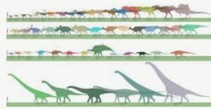 dinosaur size chart