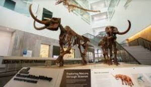 dinosaur museum michigan