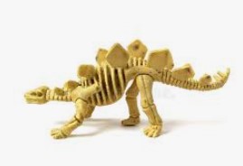 dinosaur skeleton toy