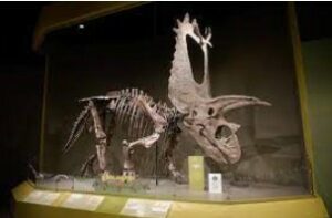 dinosaur museum okc