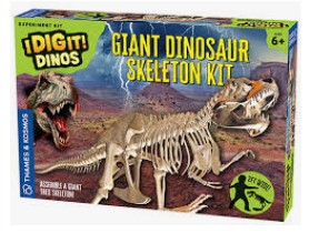 dinosaur skeleton toy