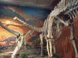 dinosaur museum new mexico