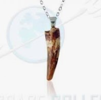 dinosaur tooth necklace