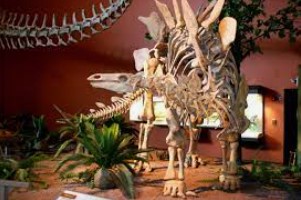 dinosaur museum new mexico