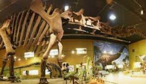 dinosaur museum wyoming