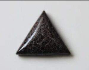 agatized dinosaur bone