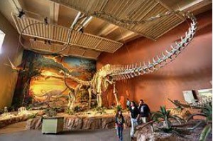 dinosaur museum new mexico