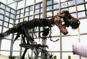 dinosaur museum wyoming