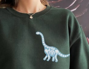 dinosaur sweater womens