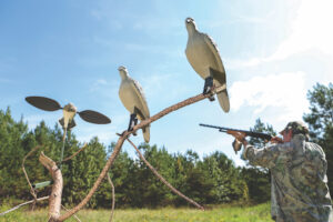 Dove Hunting Setup