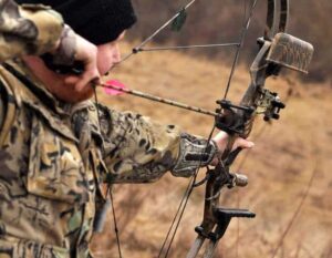 The Fundamentals of Bow Hunting