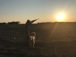 Dove hunting tips for beginners