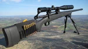 Best 300 win mag rifle