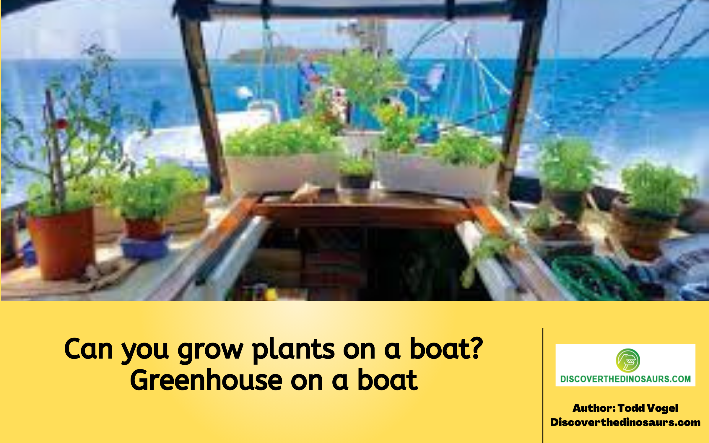 Can you grow plants on a boat? Greenhouse on a boat