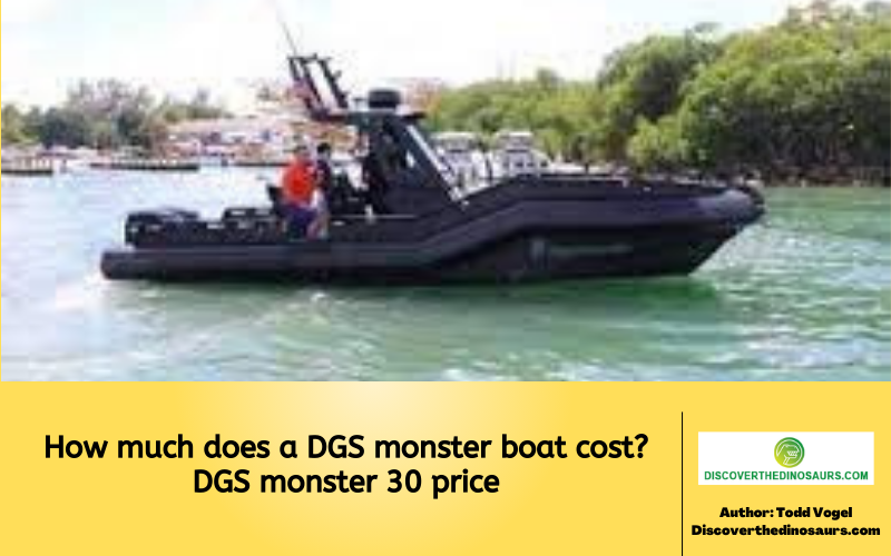 How much does a DGS monster boat cost? DGS monster 30 price
