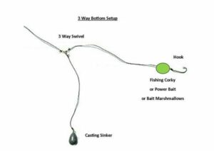 How to set up trout fishing rigs?