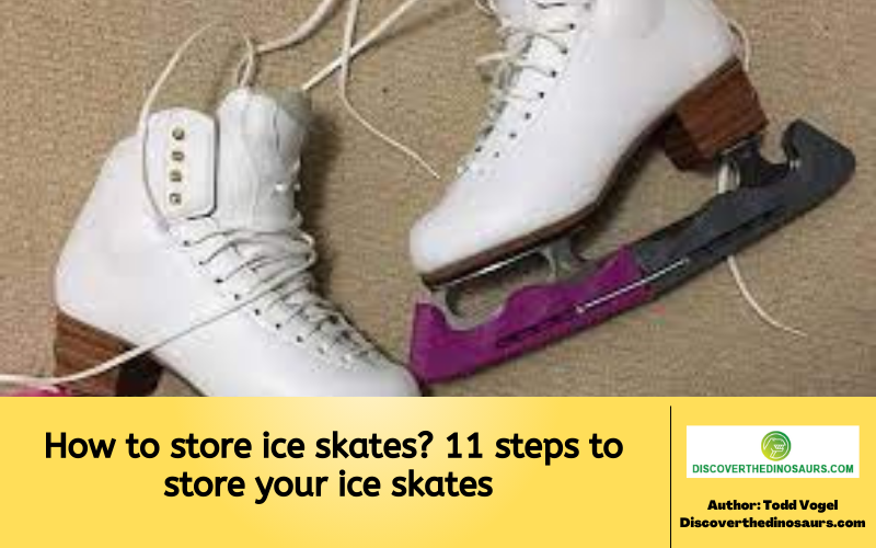 How to store ice skates 11 steps to store your ice skates