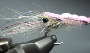 Putting the Finishing Touches on the Fly