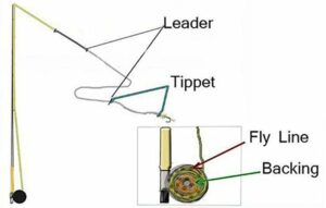 The Difference Between Fly Fishing Tippets And Leaders