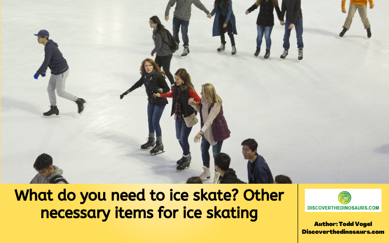 https://discoverthedinosaurs.com/what-do-you-need-to-ice-skate/